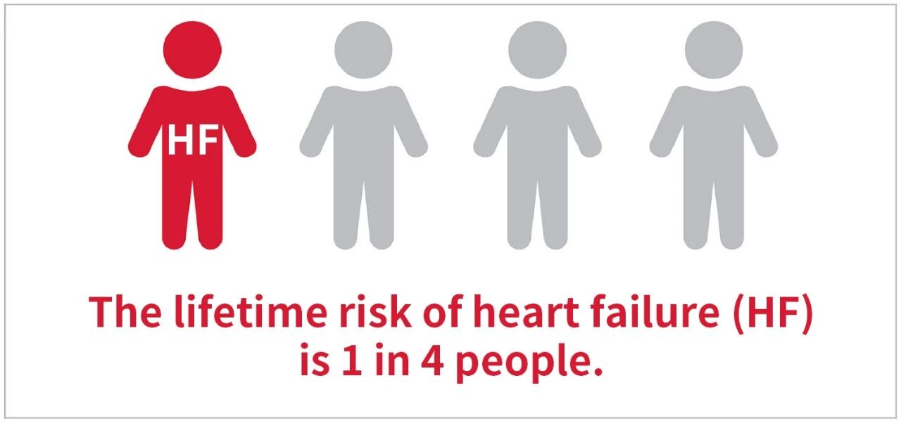 ��Ʒ���� | ��˥���˫���ܡ����۽���˥��׼��������Ǵ�δֹ����